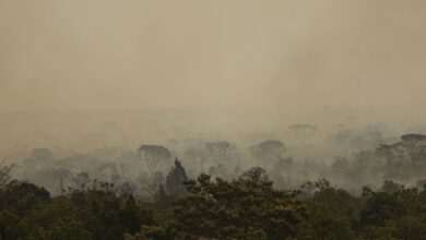Força Nacional do SUS instala base no Amazonas para atendimento após incêndios