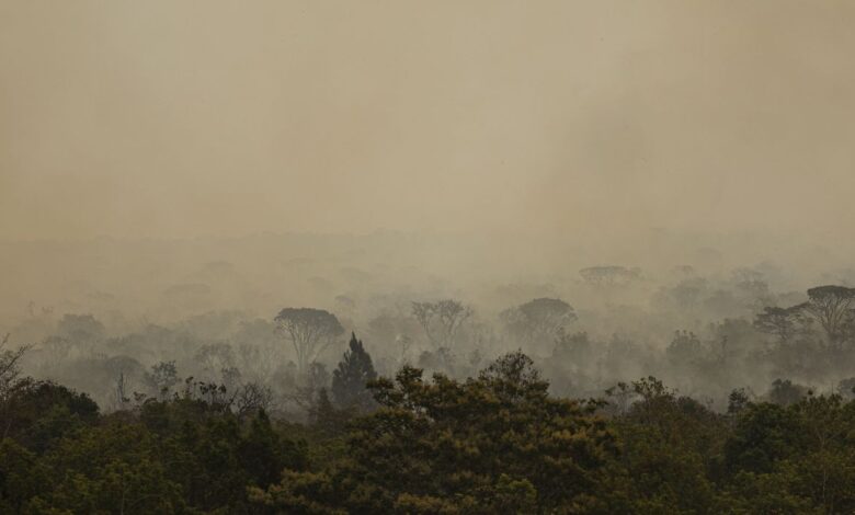 Força Nacional do SUS instala base no Amazonas para atendimento após incêndios