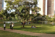 Goiânia: oásis urbanos convidam a tardes de lazer e conexão familiar na capital goiana
