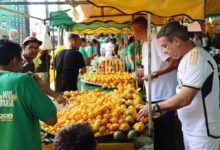Goiânia se prepara para a 6ª Festa do Pequi com programação cultural e almoço gratuito