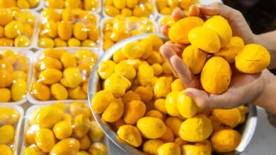 Goiânia se prepara para escolher o maior roedor de pequi do país em evento na Ceasa