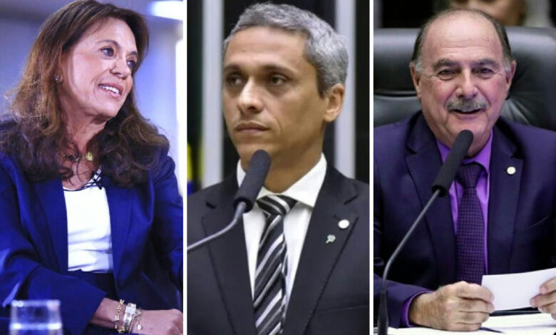 Gracinha Caiado lidera corrida ao Senado em Goiás com 30% dos votos válidos