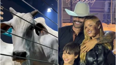 Gusttavo Lima gasta quase R$ 12 milhões em vacas de elite com sócios