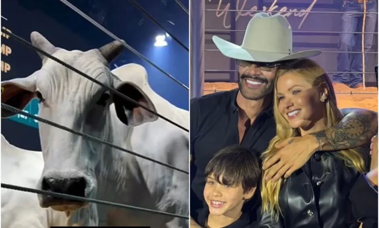 Gusttavo Lima gasta quase R$ 12 milhões em vacas de elite com sócios