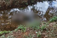 Homem é encontrado morto em curso d’água no Jardim Botânico em Goiânia
