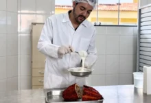 Inovação em Goiás transforma resíduo do cacau em ingrediente nobre para chocolates