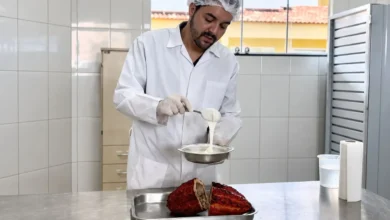 Inovação em Goiás transforma resíduo do cacau em ingrediente nobre para chocolates