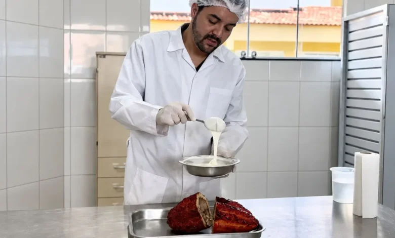 Inovação em Goiás transforma resíduo do cacau em ingrediente nobre para chocolates