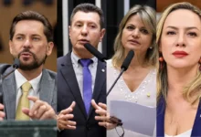 Mapa eleitoral de Goiás: quem liderou a votação para deputado federal em cada município