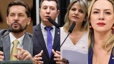 Mapa eleitoral de Goiás: quem liderou a votação para deputado federal em cada município