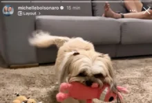 Michelle Bolsonaro publica e apaga registro com tornozeleira de Jair Bolsonaro