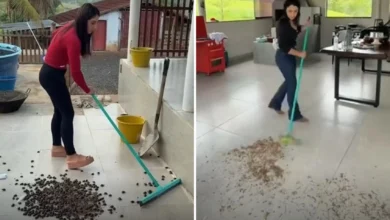 Moradora de fazenda em Goiás viraliza ao mostrar rotina com invasão de insetos