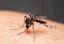 Mudanças climáticas impulsionam alta de doenças infecciosas no Brasil