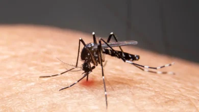Mudanças climáticas impulsionam alta de doenças infecciosas no Brasil