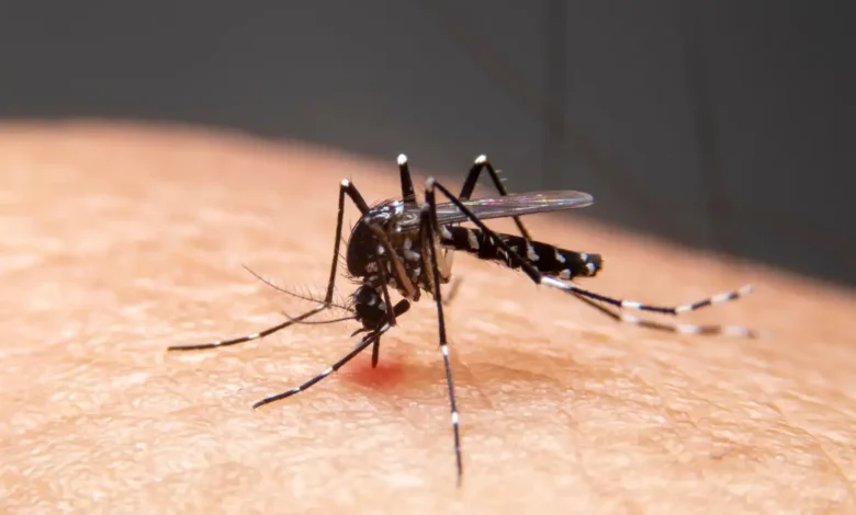 Mudanças climáticas impulsionam alta de doenças infecciosas no Brasil