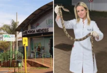 Paciente captura serpente após ataque e surpreende equipe médica em Goiás