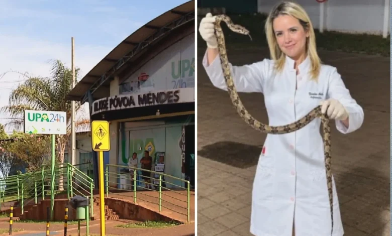 Paciente captura serpente após ataque e surpreende equipe médica em Goiás