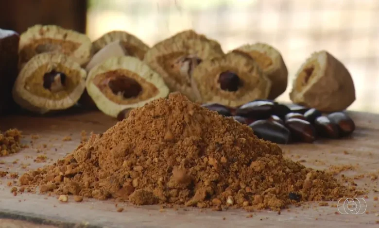 Paçoca de baru: a receita tradicional do Cerrado que sustenta uma família e preserva sabores