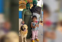 Pais viralizam ao buscar filha na escola fantasiados de Shrek e Fiona