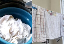 Panos de prato encardidos: o guia definitivo para remover manchas e amarelados antigos