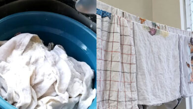Panos de prato encardidos: o guia definitivo para remover manchas e amarelados antigos