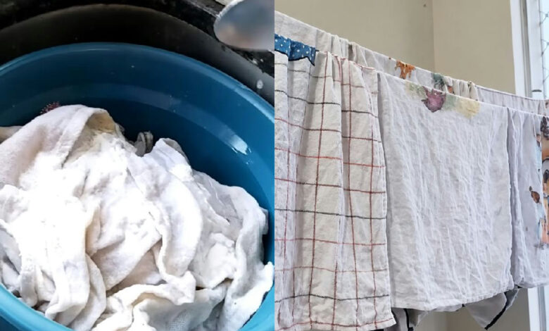 Panos de prato encardidos: o guia definitivo para remover manchas e amarelados antigos