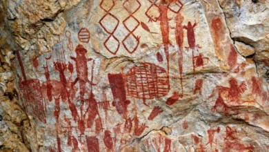 Paredões em Serranópolis guardam pinturas rupestres de 11 mil anos em Goiás