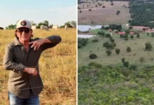 Pecuária e soja movem a fazenda Galopeira do cantor Chitãozinho em Goiás