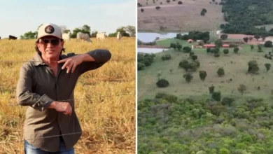 Pecuária e soja movem a fazenda Galopeira do cantor Chitãozinho em Goiás