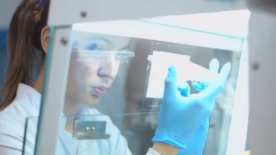 Pesquisadores da UFG figuram entre os cientistas mais influentes do mundo