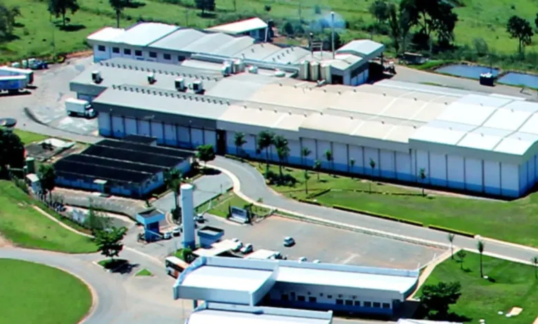 Piracanjuba assume fábrica em Goiás para processar até 600 mil litros de leite