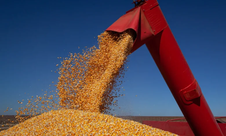 Produção de grãos em Goiás recua mais de 5 milhões de toneladas em 2026