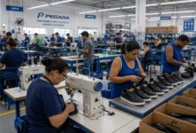 Psicologia aponta por que geração de 1950 desenvolveu alta autonomia e resiliência