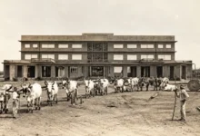 Quando goiânia quase se chamou petrônia na história de pedro ludovico