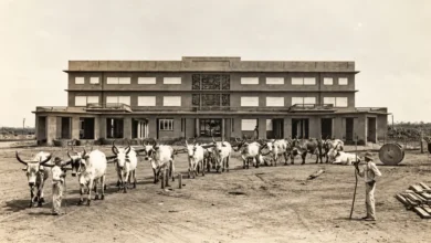 Quando goiânia quase se chamou petrônia na história de pedro ludovico