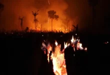 Queimadas disparam em Manaus e municípios vizinhos após primeiro turno