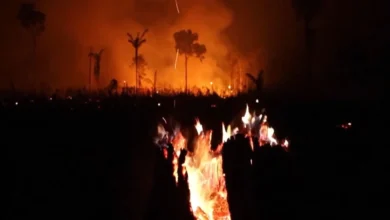 Queimadas disparam em Manaus e municípios vizinhos após primeiro turno