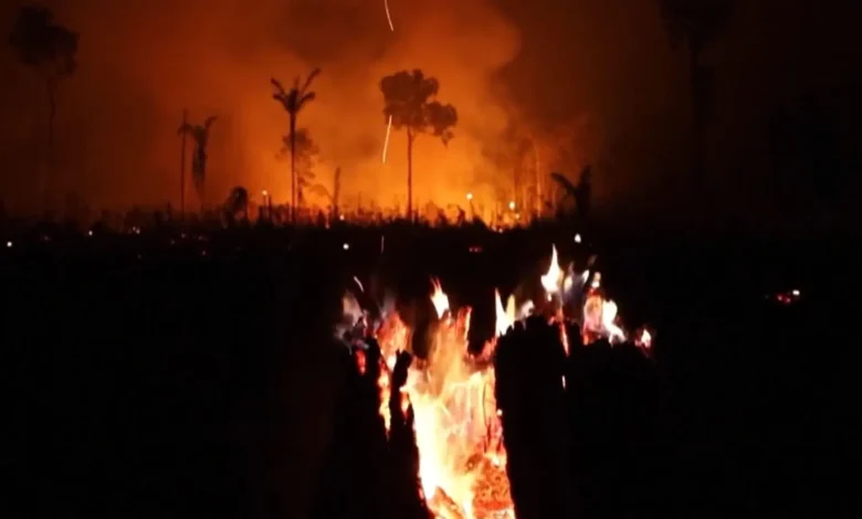 Queimadas disparam em Manaus e municípios vizinhos após primeiro turno