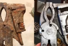 Remoção de ferrugem em ferramentas revela eficácia de vinagre e bicarbonato