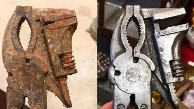 Remoção de ferrugem em ferramentas revela eficácia de vinagre e bicarbonato