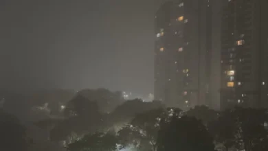 Tempestades e ventos fortes colocam dezenas de cidades de Goiás em alerta meteorológico