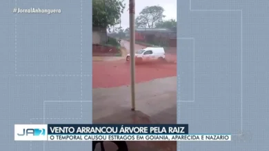 Temporal causa destruição e arranca árvores em Goiânia, Aparecida e Nazário