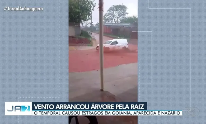 Temporal causa destruição e arranca árvores em Goiânia, Aparecida e Nazário