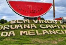 Uruana assume liderança nacional no cultivo de melancia conforme dados oficiais