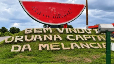 Uruana assume liderança nacional no cultivo de melancia conforme dados oficiais