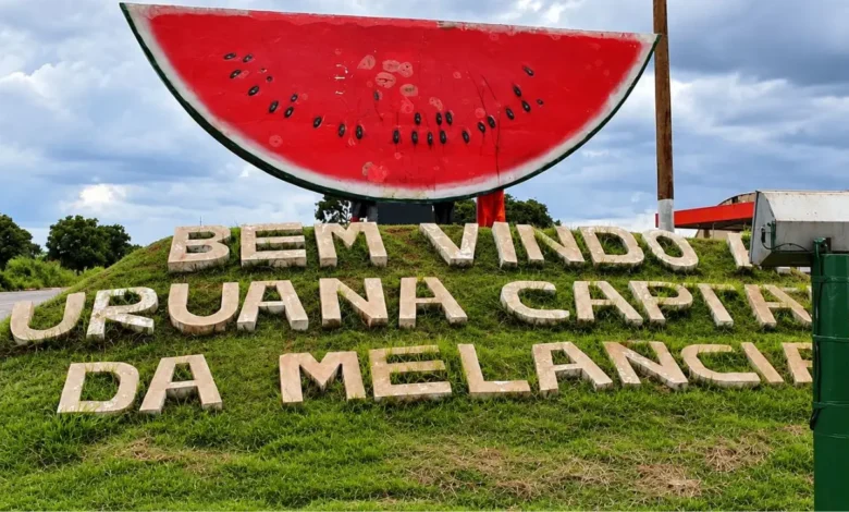 Uruana assume liderança nacional no cultivo de melancia conforme dados oficiais