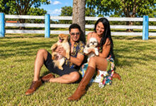 Zezé Di Camargo transforma fazenda em Goiás em refúgio para animais abandonados